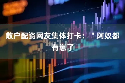 散户配资网友集体打卡：＂阿奴都有崽了