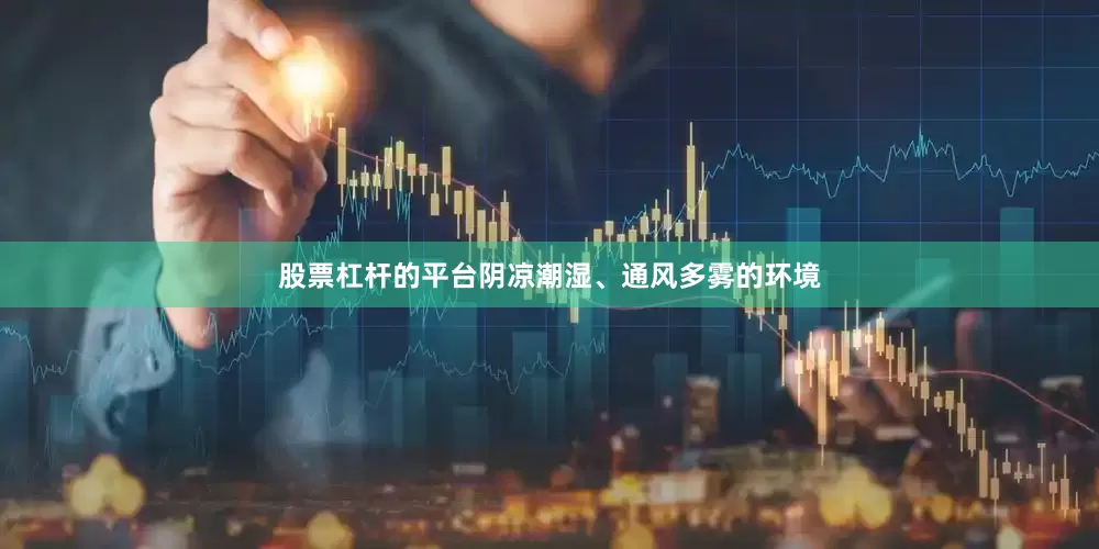 股票杠杆的平台阴凉潮湿、通风多雾的环境