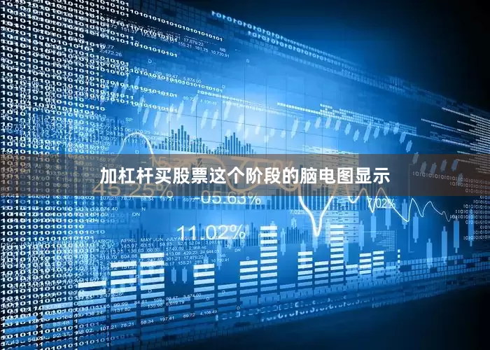 加杠杆买股票这个阶段的脑电图显示
