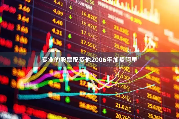 专业的股票配资他2006年加盟阿里