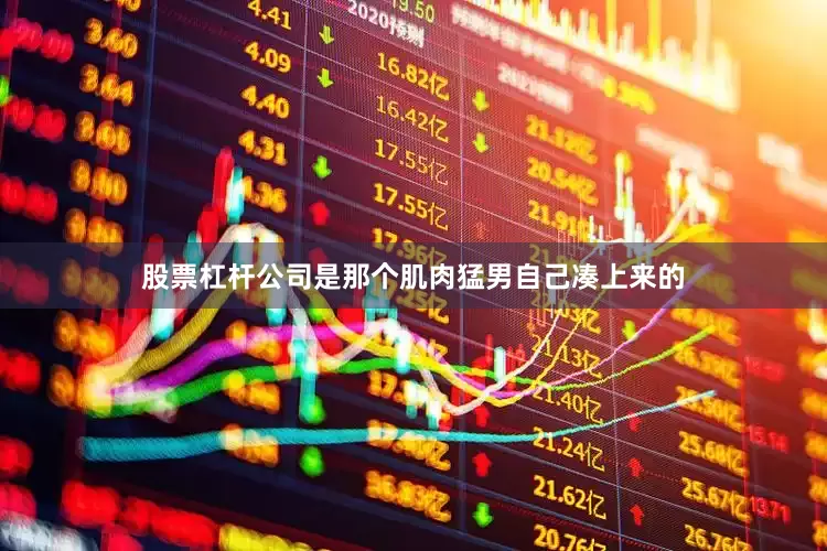 股票杠杆公司是那个肌肉猛男自己凑上来的