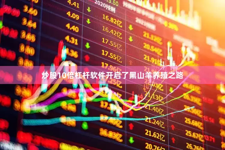 炒股10倍杠杆软件开启了黑山羊养殖之路