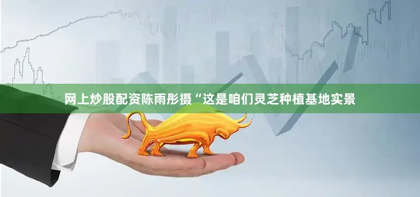 网上炒股配资陈雨彤摄　　“这是咱们灵芝种植基地实景
