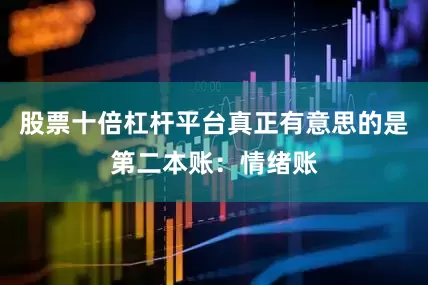 股票十倍杠杆平台真正有意思的是第二本账：情绪账